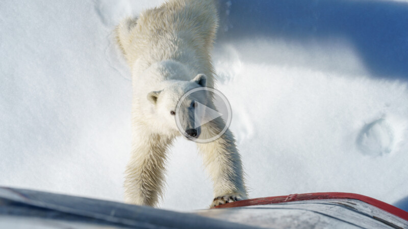 This image has an empty alt attribute; its file name is image-6.png